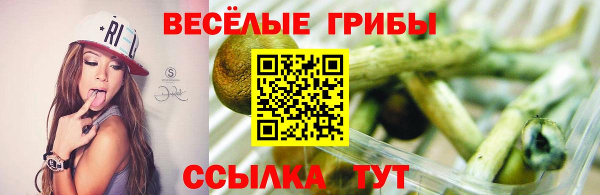 Псилоцибиновые грибы прущие грибы  Вход с VPN  магазин  наркотиков  Галлюциногенные грибы GOLDEN TEACHER  Соликамск 
